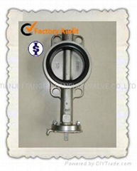 Wafer butterfly valve with GGG40/disc