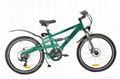 ELECTRIC MOUNTAIN BIKE CF-TDE05Z