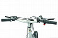 ELECTRIC MOUNTAIN BIKE CF-TDE05Z 4