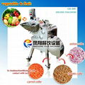 Vegetable Dicing Machine