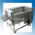 Carrot Washing & Peeling Machine(FXY-500)