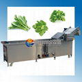 Vegetable Washing Machine Middle Type