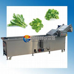 Vegetable Washing Machine Middle Type 