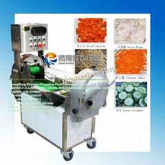 Multi-function Vegetable Cutting Machine (FC-301) & HD video