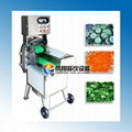 Double-inverter Vegetable Cutter FC-305 & video 1