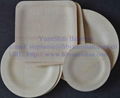 Bamboo Disposable Tableware Supplier