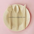 Single-use bamboo dinnerware 1