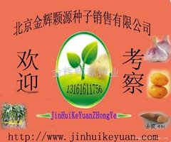 北京金輝顆源種子種植有限公司
