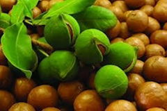 wholesale supplier of bulk 100% extra virgin argan oil