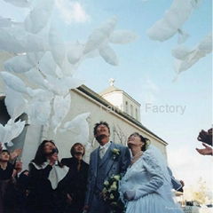 white dove shaped wedding balloons PE Biodegradable Dove balloons for wedding