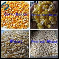 grain and wheat barley peeling machine 5