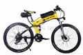 High quality low price electric bicycle