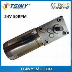 DC 24V/17rpm High-torque dc electrical worm gear reducer motor with gearbox