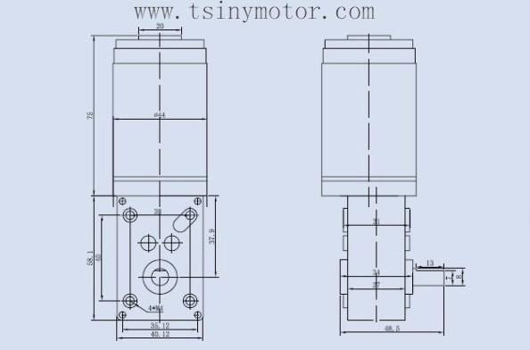 DC 24V/17rpm High-torque dc electrical worm gear reducer motor with gearbox 3