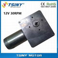 High-torque DC worm gear motor.dc