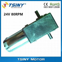 worm dc geared reducer motor of Biaxial shaft,double axis