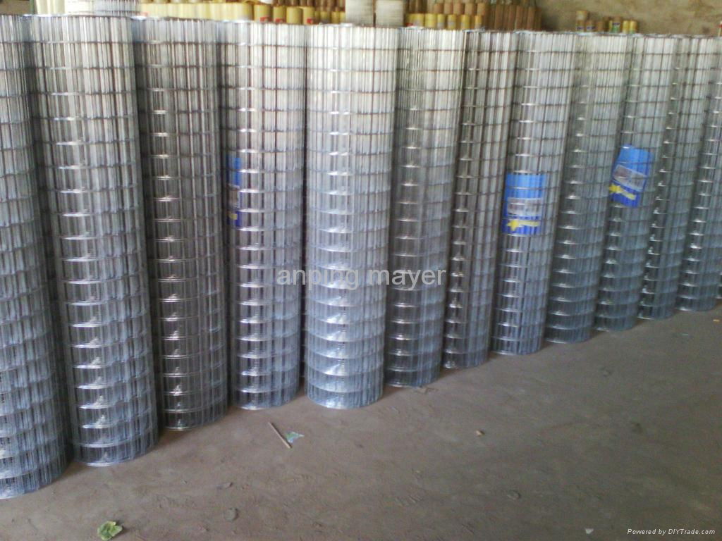 welded wire mesh  3