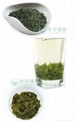 famous organic green tea