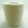 recycled toilet tissue 3