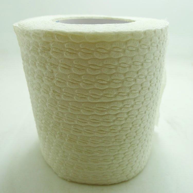 recycled toilet tissue 3