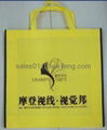 Non woven handle bag  2