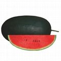 Sugar Baby watermelon seeds 1155