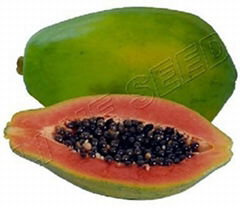 Red lady papaya seeds 709