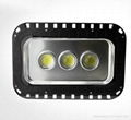 MEANWELL Driver Bridgelux Chip 150W LED