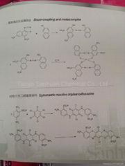 6-ACLAP