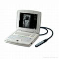 veterinary portable ultrasound scanner