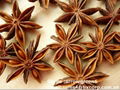 Star anise 1