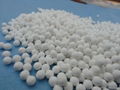 Activated Alumina 1