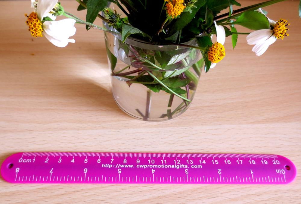 good quality on sale ruler