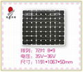 solar panel solar module