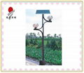 solar garden light