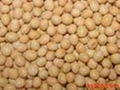 大豆磷脂粉 2