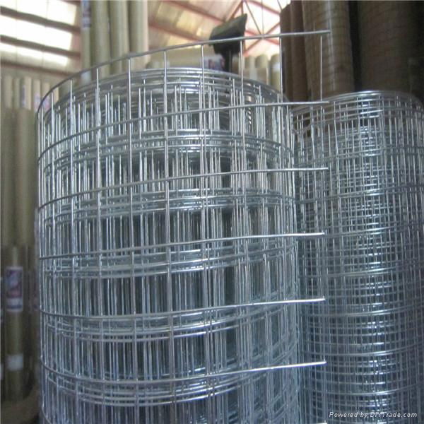 GALVANIZED IRON WELDED WIRE MESH