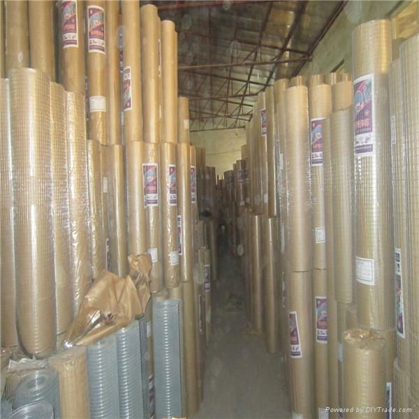 GALVANIZED IRON WELDED WIRE MESH 2