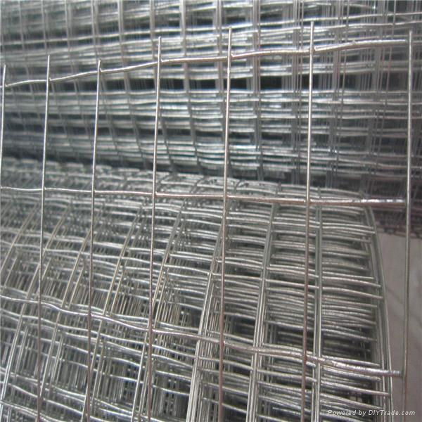 GALVANIZED IRON WELDED WIRE MESH 3