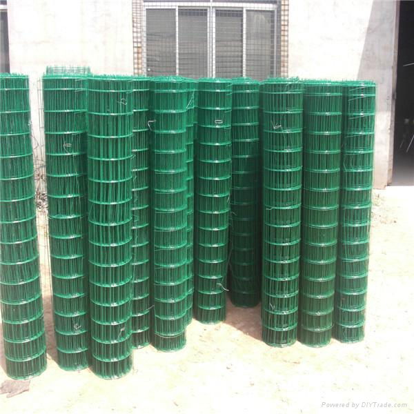 GALVANIZED IRON WELDED WIRE MESH 5