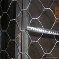 PVC Coated Iron Wire Gabion mesh 4