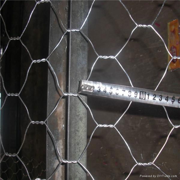 PVC Coated Iron Wire Gabion mesh 4