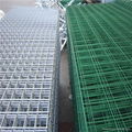  Electro Galvanized Welded Wire Mesh 5