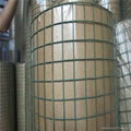  Electro Galvanized Welded Wire Mesh 1