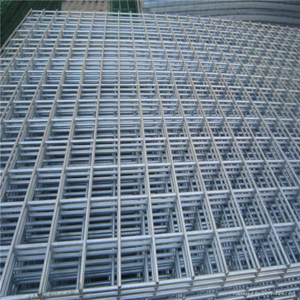  Electro Galvanized Welded Wire Mesh 2