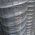  Electro Galvanized Welded Wire Mesh 3