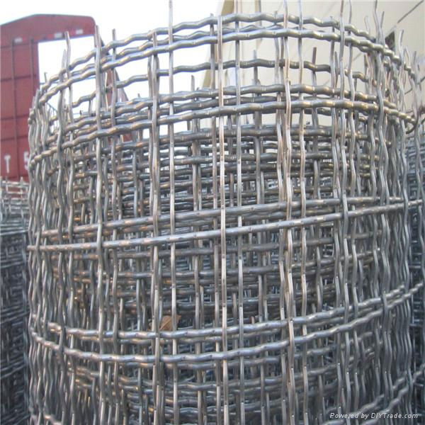Good Quality Crimped Wire Mesh     