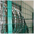 Holland wire mesh 2