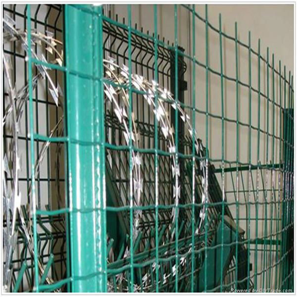 Holland wire mesh 2