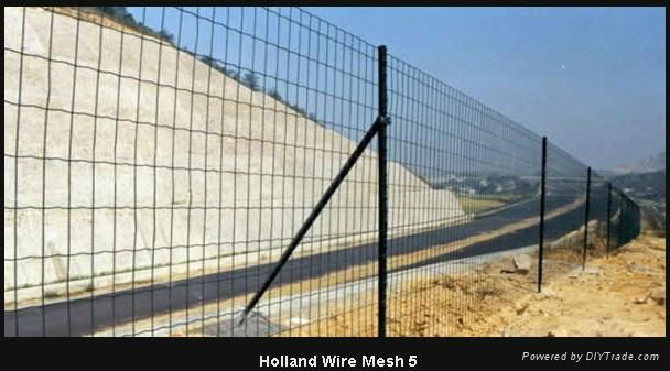 Holland wire mesh 3